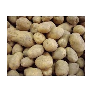 Pomme de terre monalisa