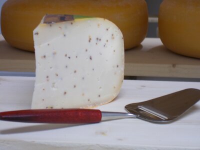 Gouda de vache à la moutarde, 270-3