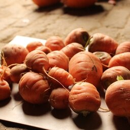 Carottes rondes