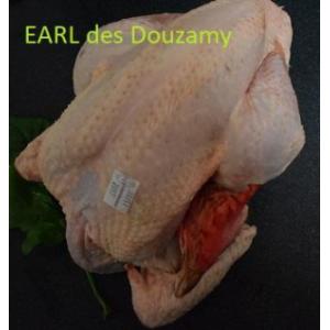 Poulet fermier prêt à cuir 2.2 kg