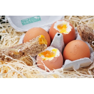 Oeufs frais fermiers