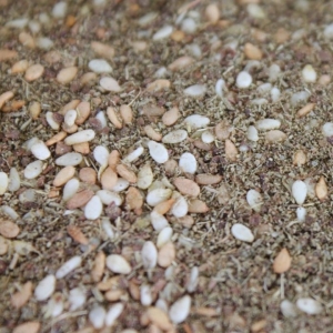 Mélange libanais ( zaatar )
