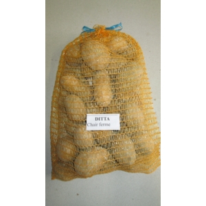 Pomme de terre ditta