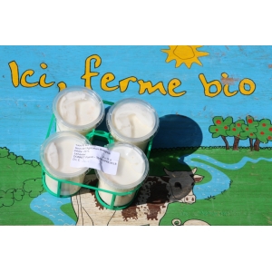 * 4 x yaourts bio a l orange et au lait entier