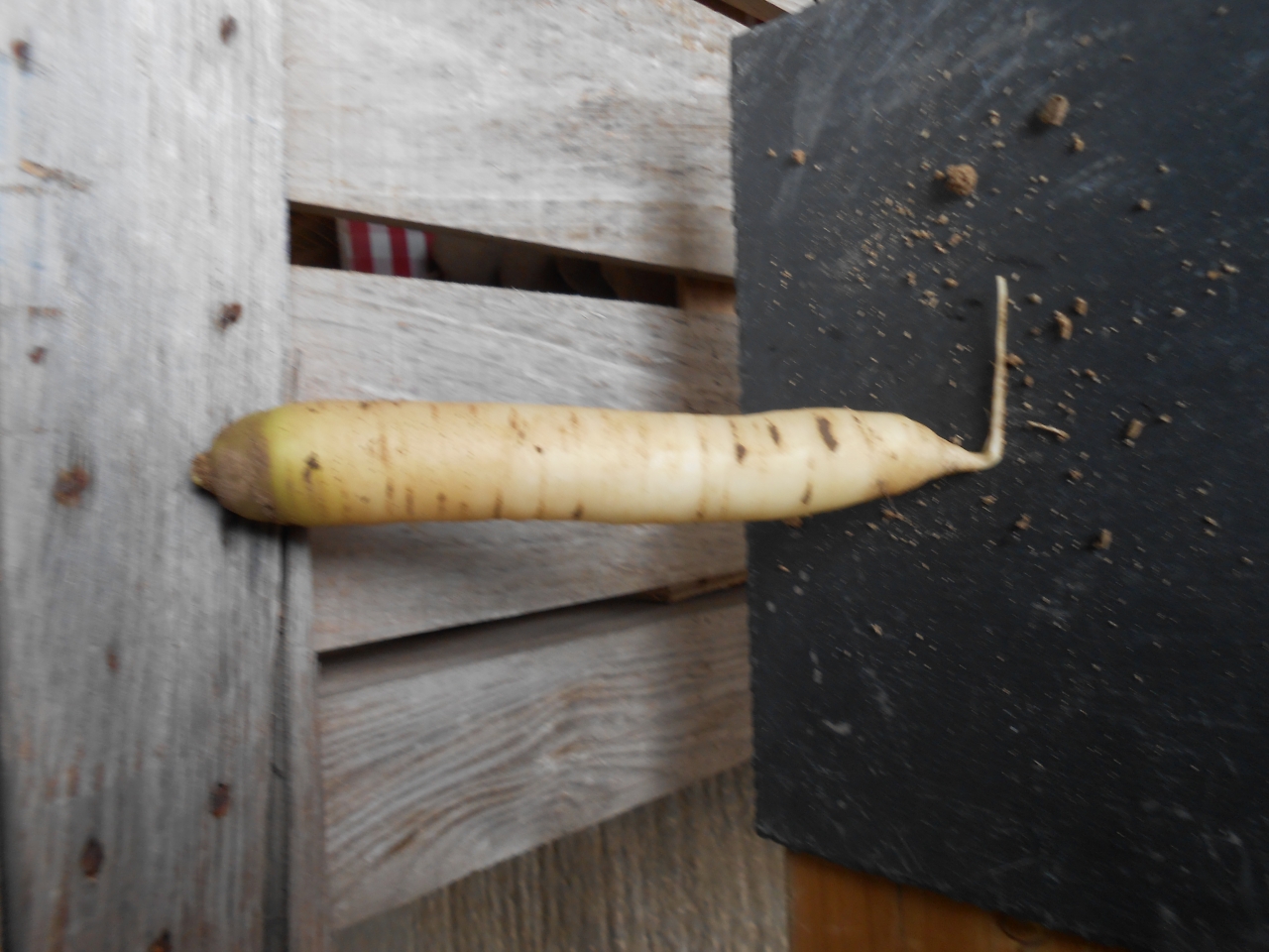 Carotte blanche - 1 kg - Ferme De La Villeneuve - Locavor.fr