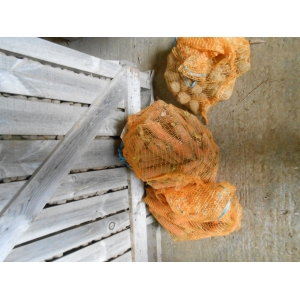 Pomme de terre à frites