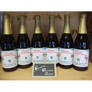Champ' de pomme cassis 75cl