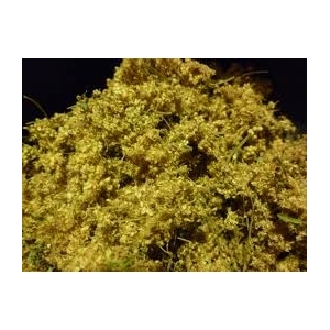 Tisane reine des près