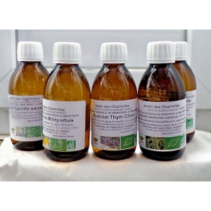 Hydrolat carotte sauvage