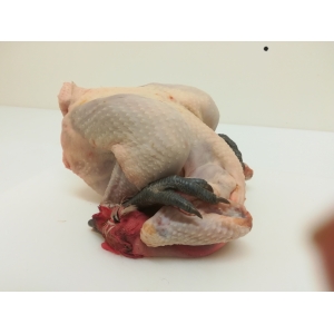 Poulet de ferme entier