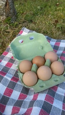 6 oeufs