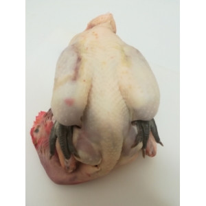 Poulet de ferme entier