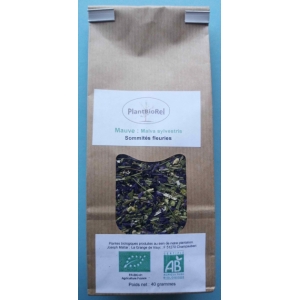 Mauve sylvestre sommités fleuries date dépass