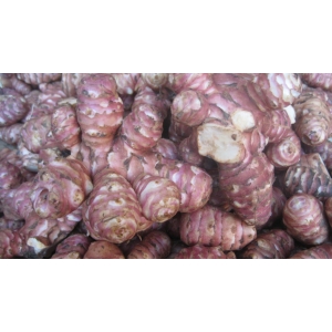 Topinambour (500g)