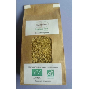 Sureau noir fleurs date dépassée