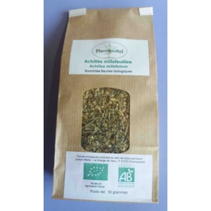 Achillée millefeuille sommités fle