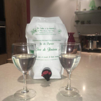 Seve de bouleau bio fraiche montagne