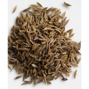 Cumin grains