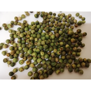 Poivre vert grains