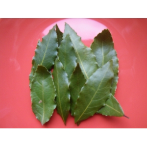 Feuilles de laurier séchées
