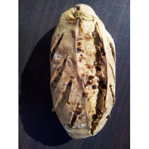 Pain seigle abricot bio