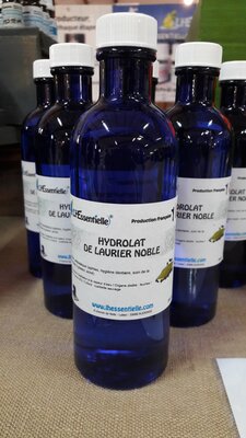Hydrolat laurier noble