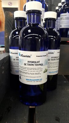 Hydrolat thym thymol