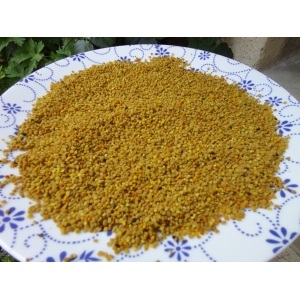 Pollen frais congelé 200g