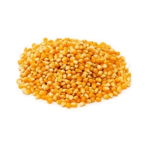 Maïs grain