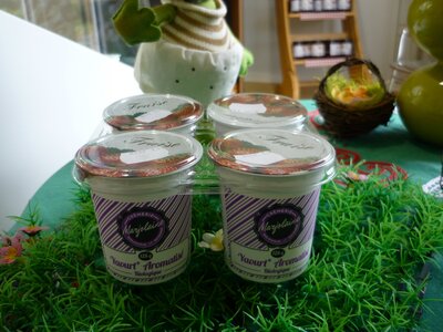 Yaourts aromatisés bio vanille