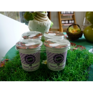 Yaourts aromatisés bio vanille