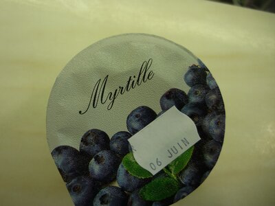 Yaourts brassés fraise bio