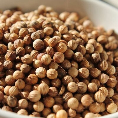 Coriandre graine
