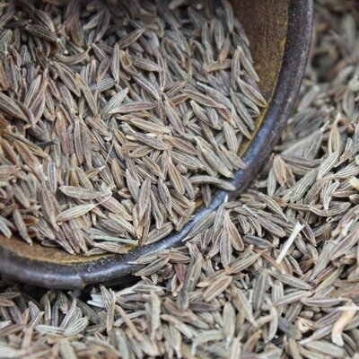 Cumin graines