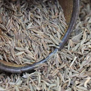 Cumin graines