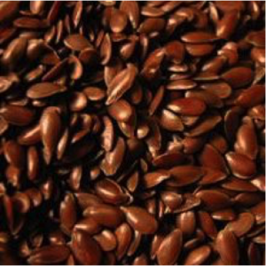 Graines lin brun (inclus consigne)