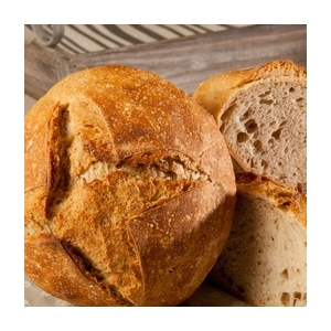 Pain bis sans sel bio