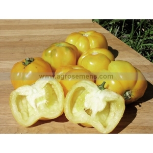 Plant de tomate poivron st vincent
