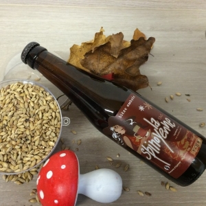 Bière ambrée la spinoyenne