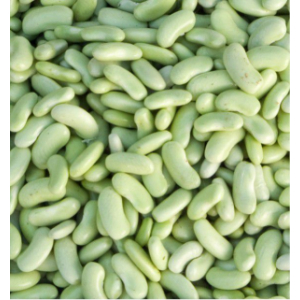 Haricot flageolet (inclus consigne)