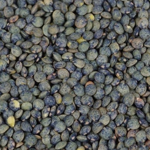 Lentille verte (inclus consigne)