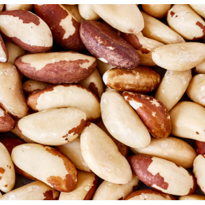 Noix d'amazonie (inclus consigne)