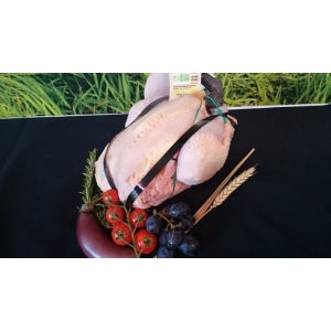 Poulet blanc pattes noire bio
