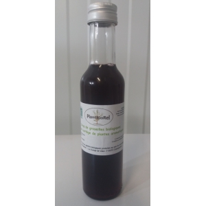 Sirop de groseilles et son cortège de plantes aromatiques