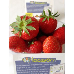 2 mariguettes + 1 charlotte. soit 3 barquettes de fraises