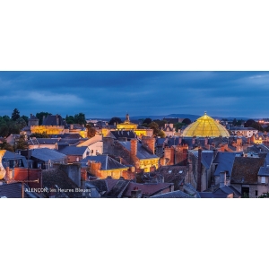 Carte postale alençon, toits du centre-ville