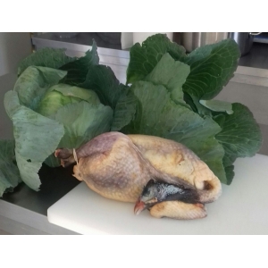 Pintade de ferme 1kg800