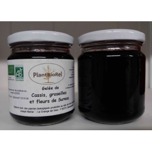 Gelée de cassis, groseilles et fleu