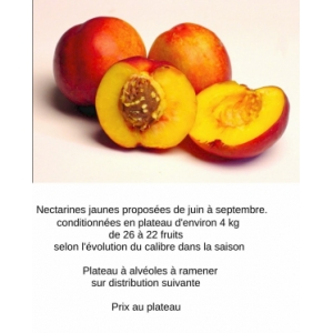 Nectarines jaunes - plateau 4kg