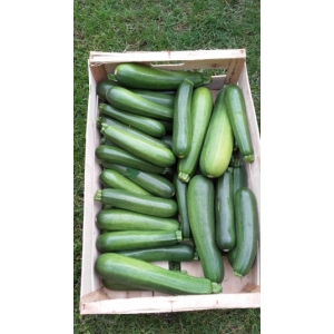 Courgette